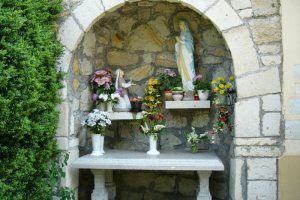 2006.06.10. Tarnaméra képekben