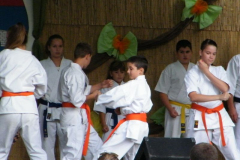 image008