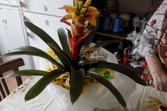 DSC00432