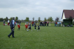 foci00049