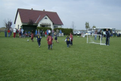 foci00064