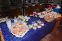 DSC00433