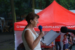 falunap14_20090708_1474806358
