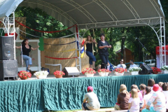 falunap_100_20090709_1806231241
