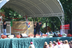 falunap_101_20090709_1981819901