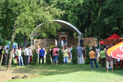 falunap_104_20090709_1937827104
