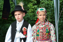 falunap_106_20090709_1077698152