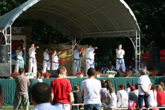 falunap_116_20090709_1563200913