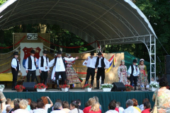 falunap_119_20090709_2006510336