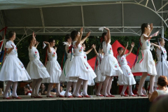 falunap_121_20090709_1581314945