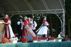 falunap_122_20090709_1701947695