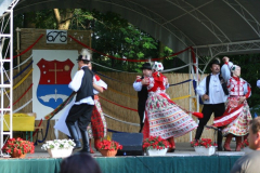 falunap_124_20090709_1546586108