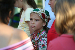 falunap_126_20090709_1225444359