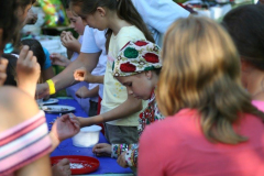 falunap_127_20090709_2087829959