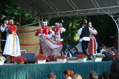 falunap_128_20090709_1878195903