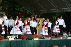falunap_129_20090709_1448970143