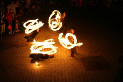 falunap_133_20090709_1077346331