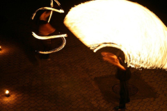 falunap_142_20090709_2008395112