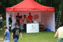 falunap_20_20090709_1509781513