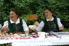 falunap_23_20090709_2099426893
