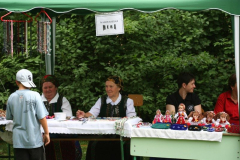 falunap_24_20090709_1702202184