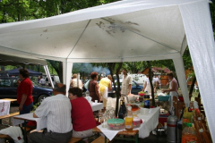 falunap_26_20090709_1946528555