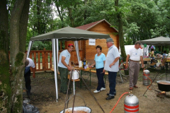 falunap_30_20090709_1487999912