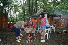 falunap_31_20090709_1706094228