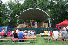 falunap_37_20090709_2093563712