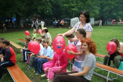 falunap_40_20090709_1477553170