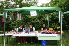 falunap_42_20090709_1280277820