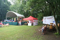 falunap_50_20090709_1836139546