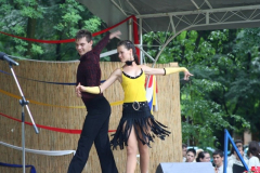 falunap_56_20090709_1713101019