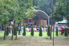 falunap_57_20090709_1222303090