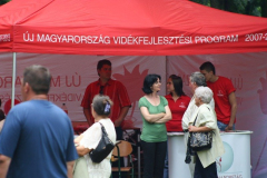 falunap_60_20090709_1595365520