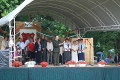 falunap_66_20090709_1483343092