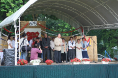 falunap_67_20090709_1888074645