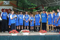 falunap_72_20090709_1609774581