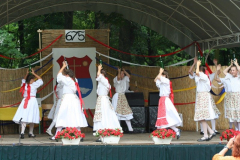 falunap_79_20090709_1767686526