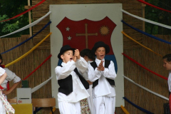 falunap_80_20090709_1025315387