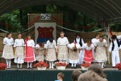 falunap_81_20090709_1860905338