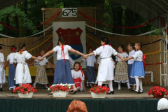 falunap_82_20090709_1020088669