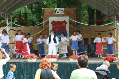 falunap_83_20090709_1211640594