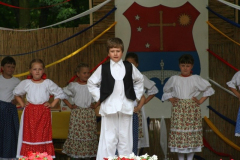 falunap_84_20090709_1823624652