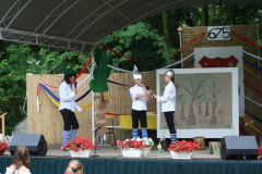 falunap_85_20090709_1430564416