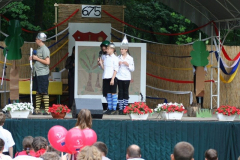 falunap_87_20090709_1445322088