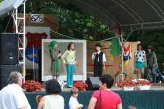 falunap_89_20090709_1906890971