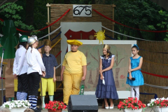 falunap_91_20090709_1653001033