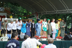falunap_92_20090709_1033107843