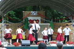 falunap_93_20090709_1743353653